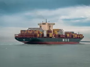 Why do factories look for import and export agents?