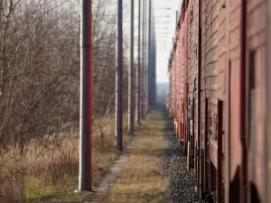 Can you believe that enterprises can handle export tax rebates on their own?