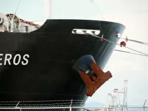 Imported Snack Food Agency: A Business Opportunity or a Trap?