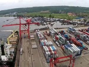 How Deep Is the Water in Import Agency? These 5 Standards Help You Spot the Truth at a Glance