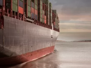 Are Foreign Trade Tax Refund Agency Companies Really That Magical?