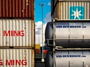 Stop Guessing When Choosing an Import Agent!