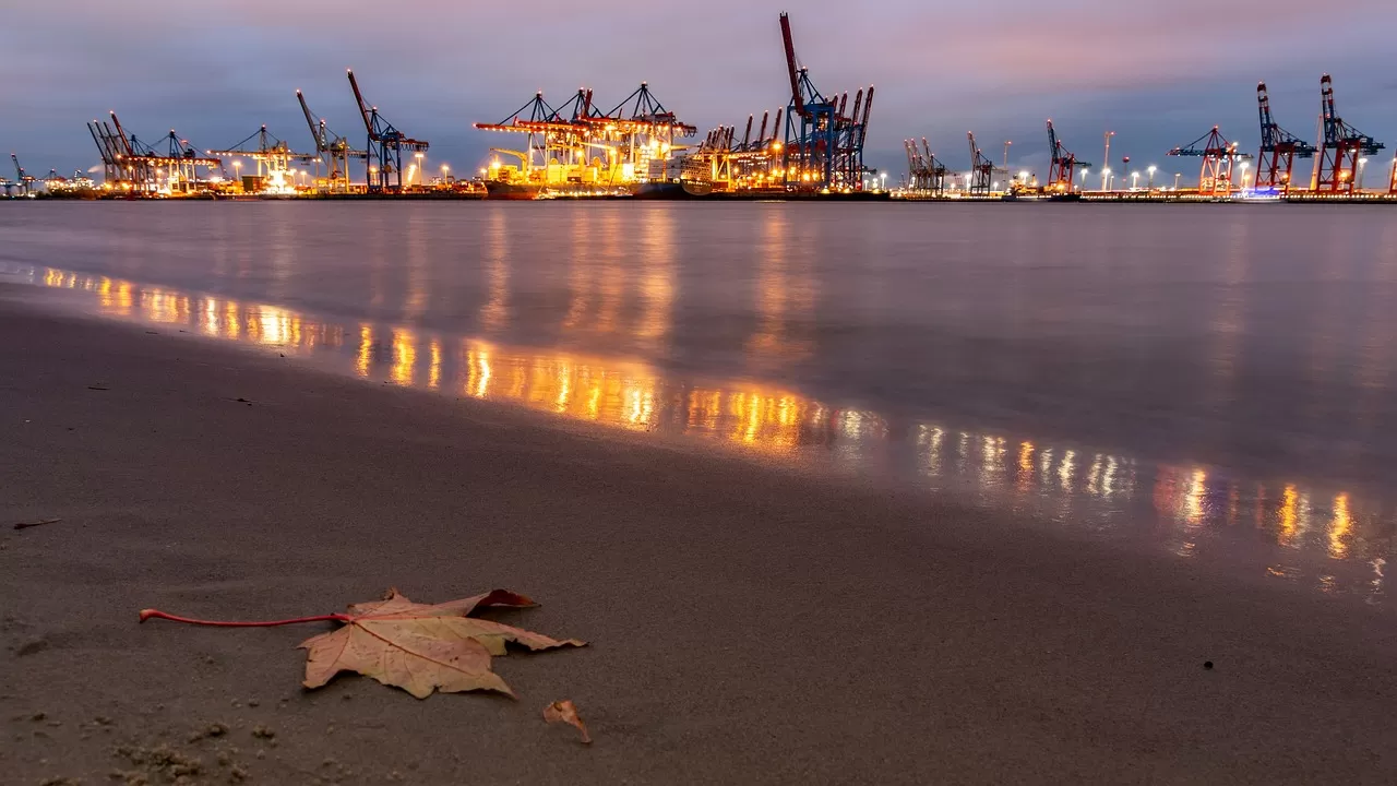 Import Declaration Documents: The Trade Password That Enterprises Cannot Ignore