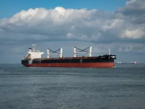 Starter Export Agency, Industry Secrets You Don't Know