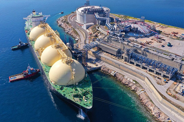 Revealed! Fertilizer Import Agency Opens New Doors to Agricultural Efficiency