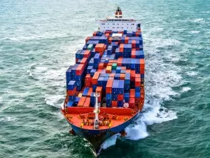 How can we not strengthen the agency export fees?