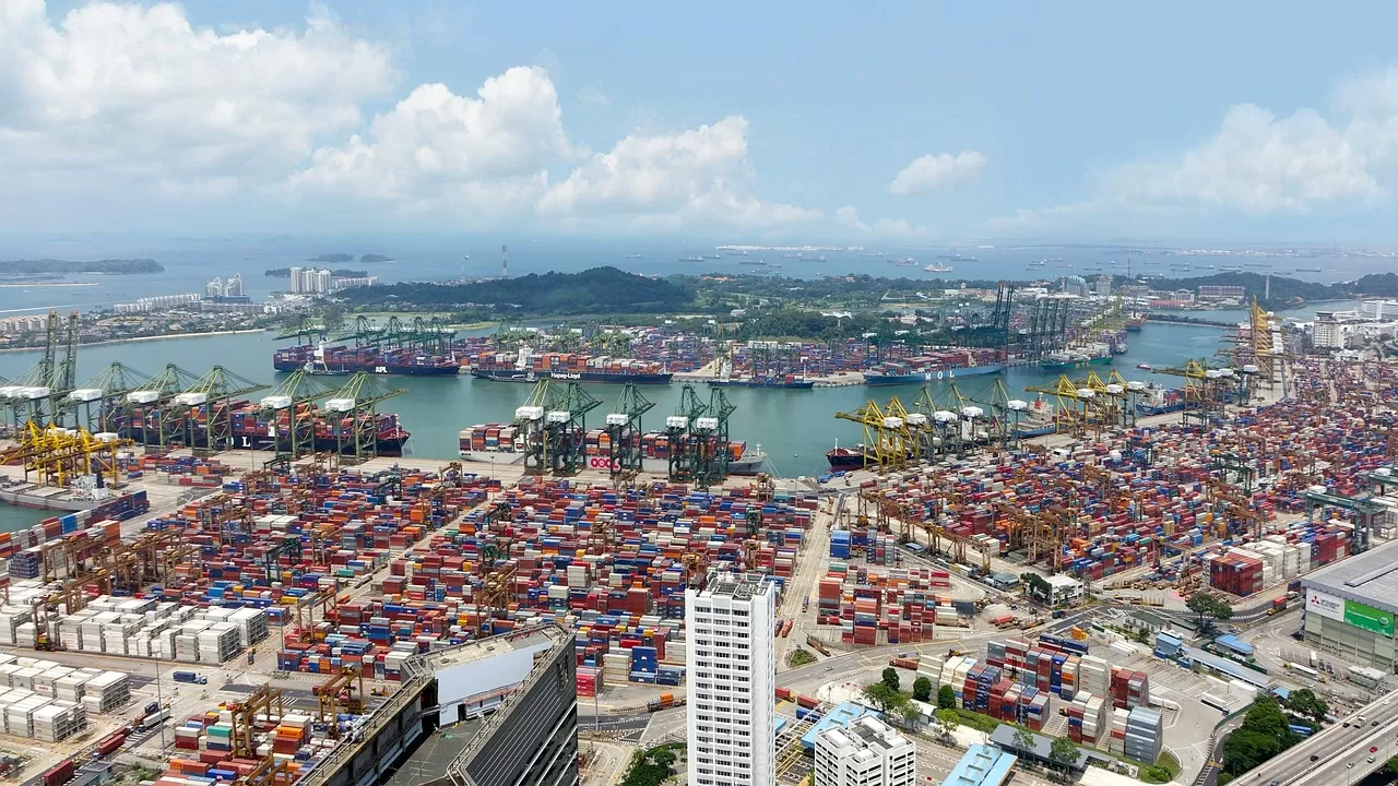 Why do many enterprises favor the application for export customs declaration agency?