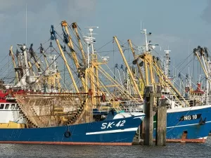 Unveiling the Business Scope of International Freight Forwarding Companies!