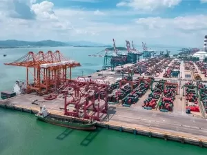 Qingdao Food Import Agency: Things You Don't Know