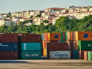 Do you really know about the export business agency companies in Putuo District?