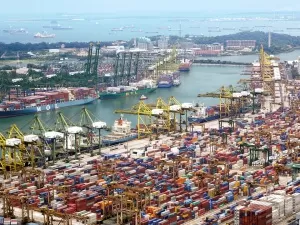 Qingdao Export Agency Company? Choosing the Right One is Crucial!