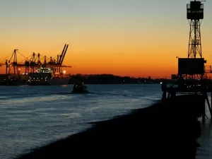 Five Fatal Mistakes in Payment for Import by Agency