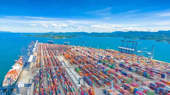 Stop groping blindly! An import-export handling service company will take you to soar