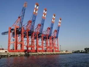 Surprising! There are so many aspects to the agency export charges in Hengyang