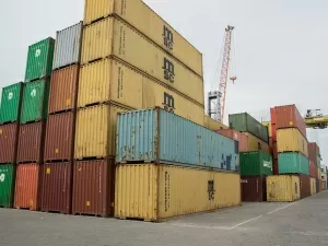 Is Imported Red Wine Agency a Profitable Industry?