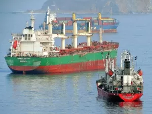 Alumina Export Agency, Do You Really Understand It?
