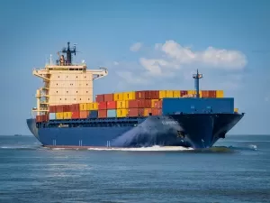 Where to re-export for entrepot trade? Choose the wrong place and risk losing all your money!