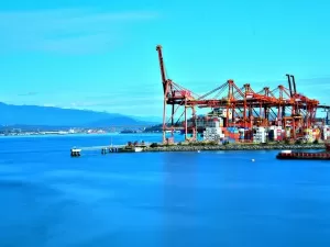Don't underestimate the role of foreign trade agencies in university equipment imports—there's a lot more to it than meets the eye!