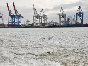 Full-Service Import Customs Declaration Agency: Can It Really Solve All Problems?
