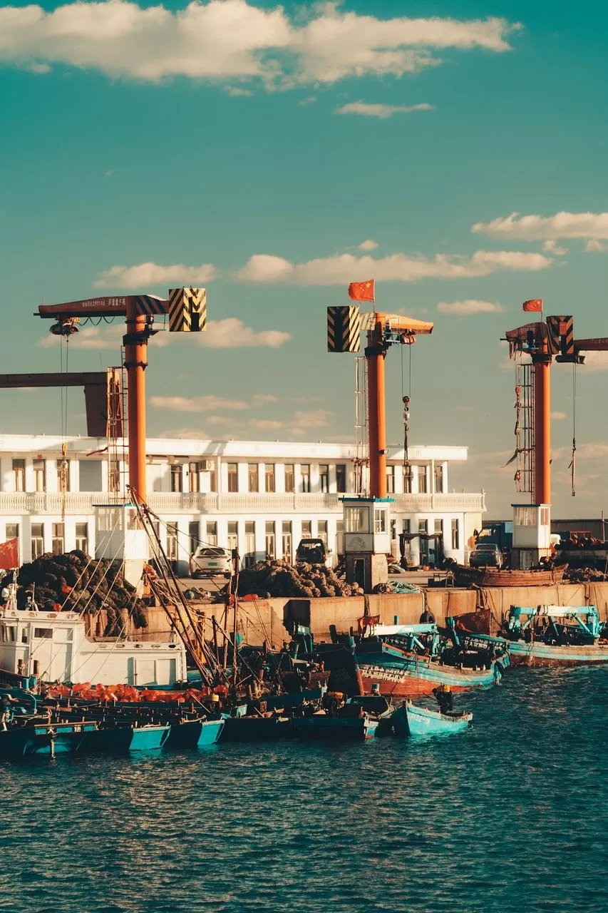 Surprising! There are so many advantages in Suqian Food Import and Export Agency