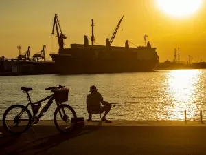 Did you know these amazing characteristics of entrepot trade?