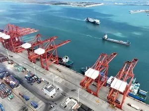 Cosmetics Import Customs Clearance Companies, So Many Secrets Hidden?