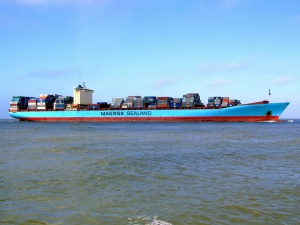 Is Timber Import Too Tricky? A Must-Read Pitfall Avoidance Guide for Dongguan Business Owners