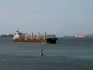 Transit Trade: The Lucrative Code Hidden in Logistics Documents