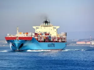 Can Sea Freight Export LCL (Less than Container Load) Agency Really Cut Your Logistics Costs in Half?
