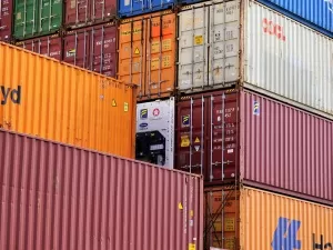 Import Agency Process? You'll Know Everything Here!