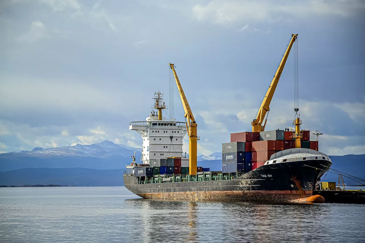 Must - Read for Bosses: 2024 New Guide to Avoiding Pitfalls at Customs! 