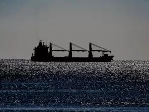 Import Waste Paper Agency, the 