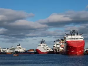 Is Imported Battery Agency a Pie or a Trap?