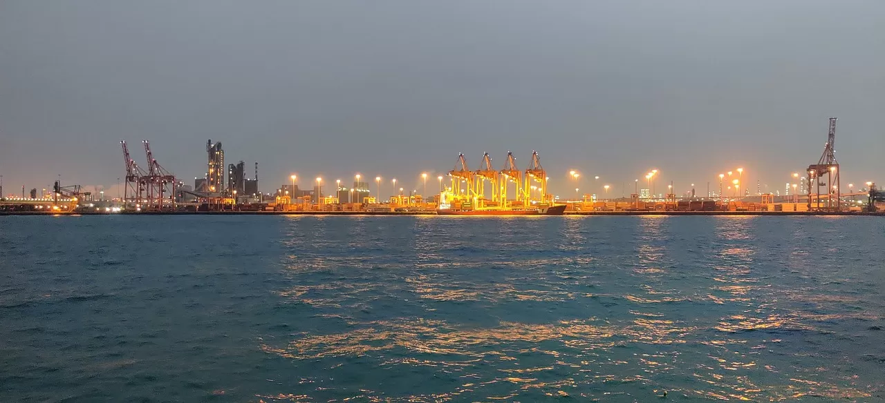 Why are [Company Name] near here competing for import and export rights? 