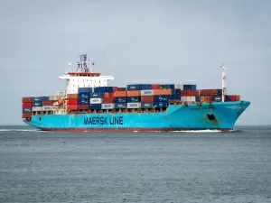 Shocking! These Mysteries Hidden in the Entrepot Trade in 2018