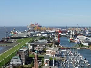 Export Agency Settlement, Do You Really Understand It?