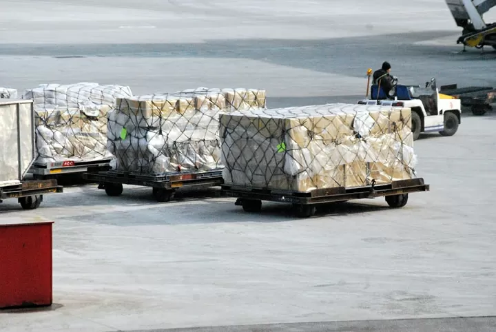 How to Successfully Become an Imported Wine Agent? This Guide Has All the Answers