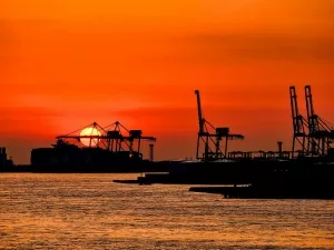 The Big Reveal of Import Payment Agency Fees: What Changning District Enterprises Must Know