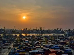 Do You Really Understand Trading Agency Companies?