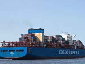 Tianjin Sea Cucumber Import Agency Company, Is the Water Too Deep?