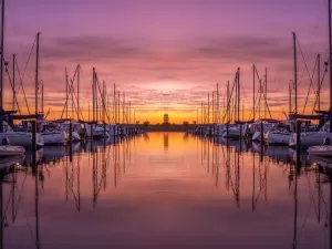Professional Export Tax Rebate Handling Company? Choosing it is the right choice!