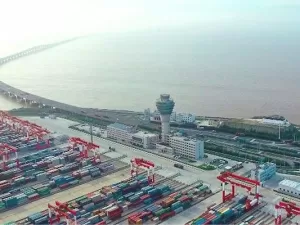 The Export Tax Rebate Agency Process in Fengxian District You Don't Know!