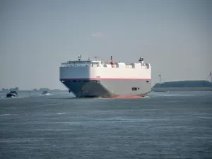 International Freight Services, Do You Really Understand Them?
