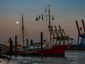 Is the exemption of export goods agency fees really that simple?