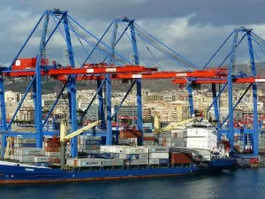 Sino-German Import Agency: Things You Don't Know!