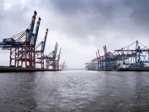 Shenzhen Entrepot Trade: The Wealth Code You Don't Know