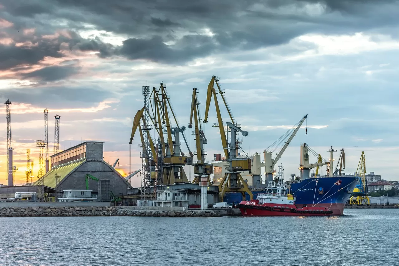 Revealing the business scope of import and export agency 