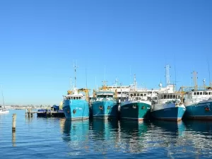 7 Fatal Misconceptions of European Freight Forwarders