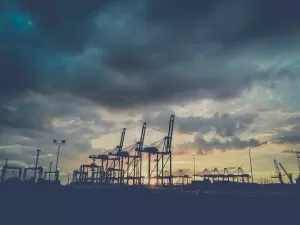 The Truth About the Lucrative Business of Import-Export Agency
