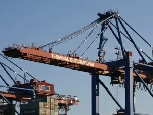 Do You Really Understand the Professional Export Agency Fees?